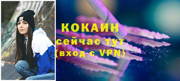 сатива Новокубанск
