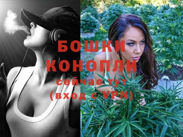 сатива Новокубанск