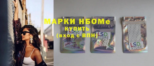 сатива Новокубанск