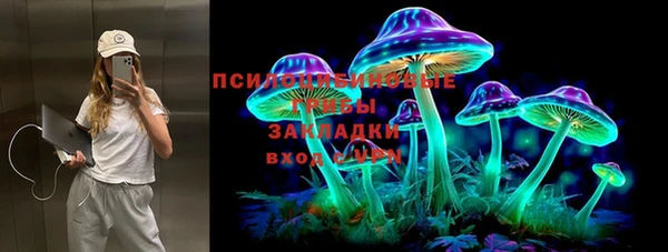 сатива Новокубанск