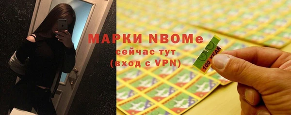 сатива Новокубанск