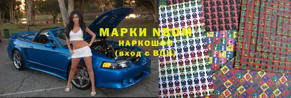 сатива Новокубанск