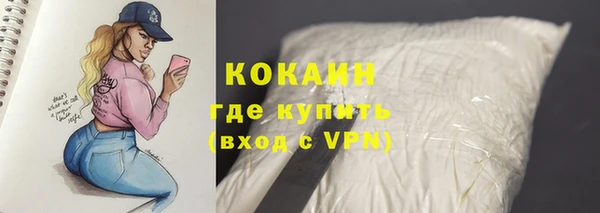 дживик Нефтекумск