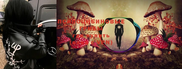 MESCALINE Заволжье