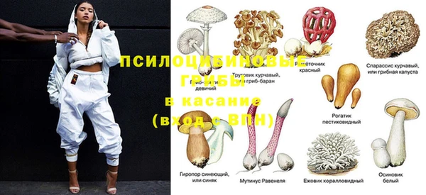 MESCALINE Заволжье