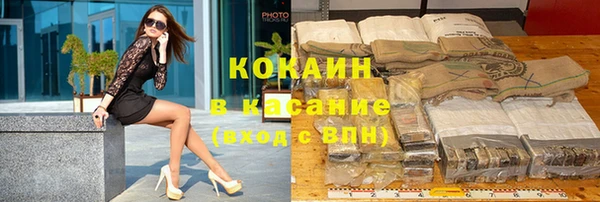 сатива Новокубанск