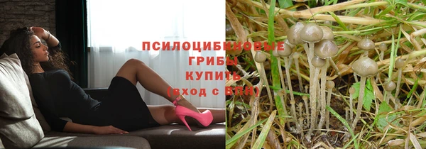 МДПВ Новодвинск