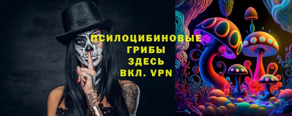 ALPHA-PVP Новозыбков