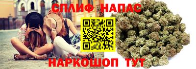 СК Абинск