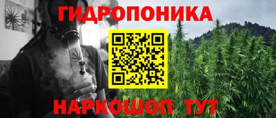 СК Абинск