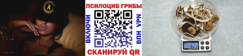Галлюциногенные грибы ЛСД  Александров 