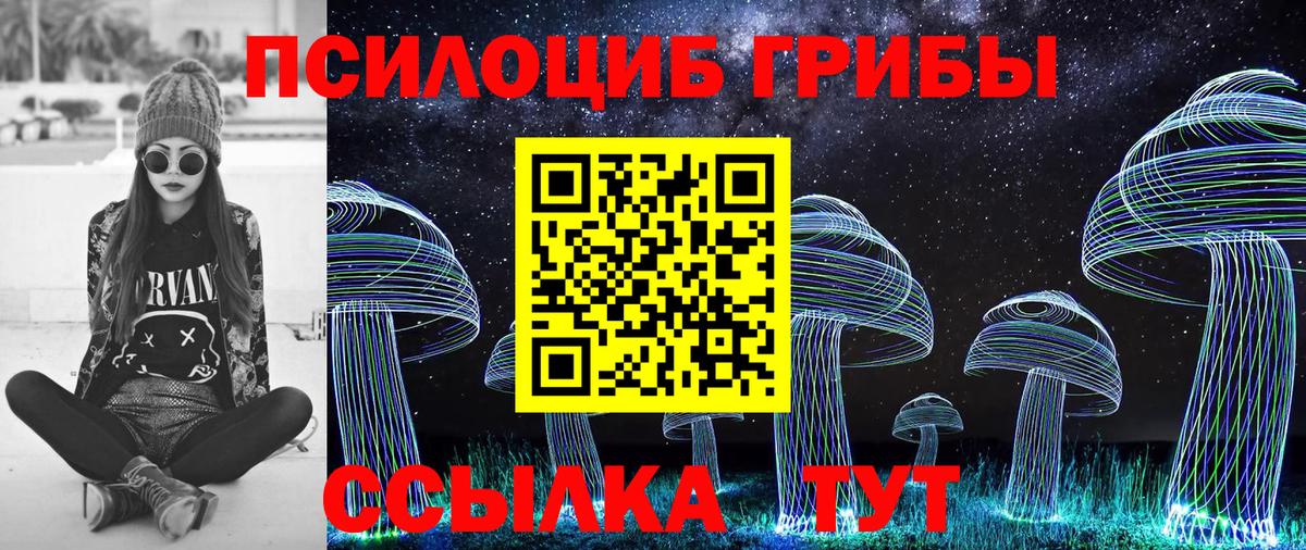 Александров  Псилоцибиновые грибы Psilocybe  Галлюциногенные грибы прущие грибы  Вход с VPN 