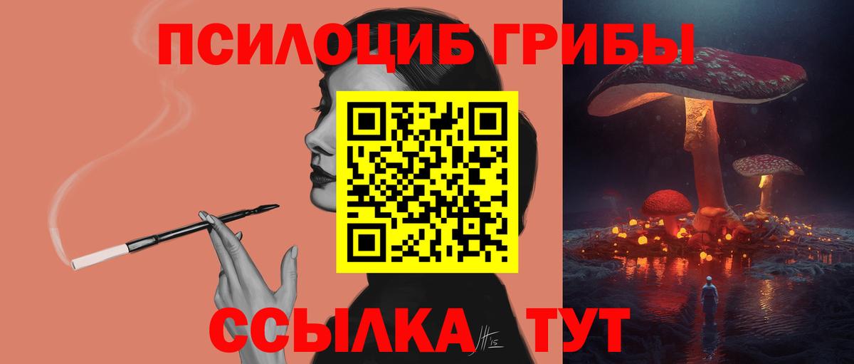 Псилоцибиновые грибы Cubensis  магазин  наркотиков  Александров  Галлюциногенные грибы GOLDEN TEACHER 